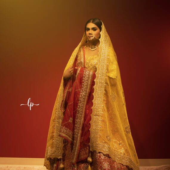 Designer Embroidered Lehenga Choli Main Day & Reception Dresses Ladies Girls Ethnic Wear Indian Boutique