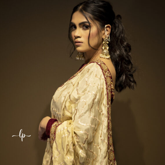 Designer Indo Western Partywear Sari Ladies Girls Ethnic Wear Indian Boutique