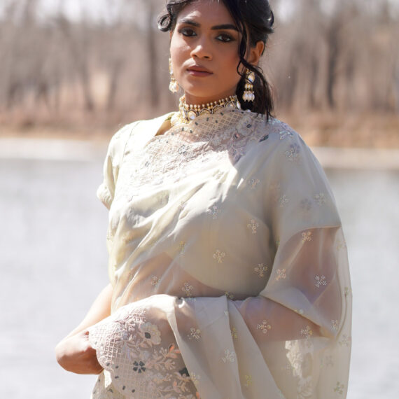Mint Green Organza Saree with Embroidered Floral Borders - Drape Style