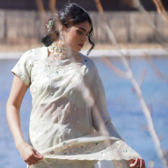 Mint Green Organza Saree with Embroidered Floral Borders - Drape Style