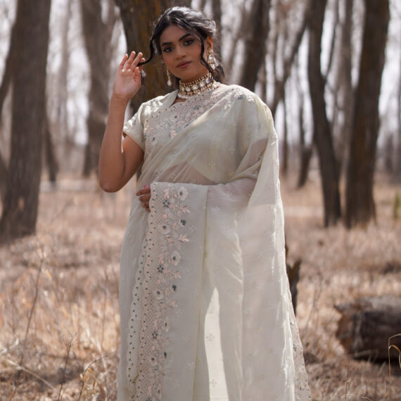 Mint Green Organza Saree with Embroidered Floral Borders - Drape Style