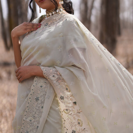 Mint Green Organza Saree with Embroidered Floral Borders - Drape Style