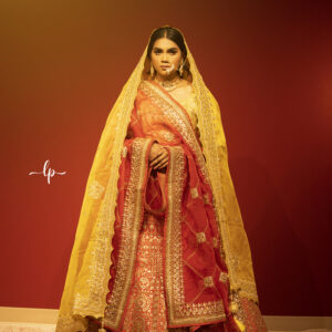 Designer Embroidered Lehenga Choli Main Day & Reception Dresses Ladies Girls Ethnic Wear Indian Boutique