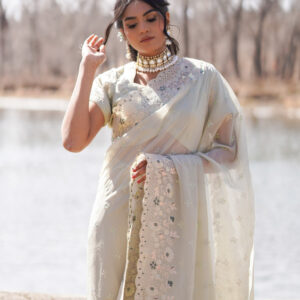 Mint Green Organza Saree with Embroidered Floral Borders - Drape Style