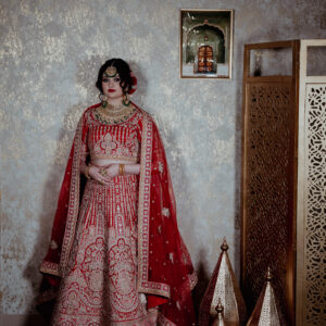 Designer Embroidered Lehenga Choli Main Day & Reception Dresses Ladies Girls Ethnic Wear Indian Boutique